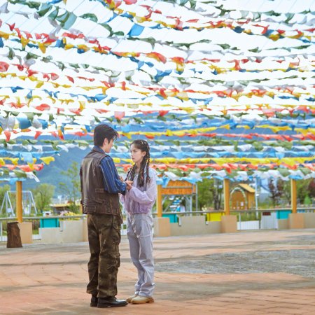 Love 214 Times in Shangrila (2025)