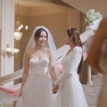 Denied Love Special Endless (2026)