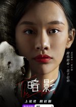 The Shadow Chinese Drama(2021) photo