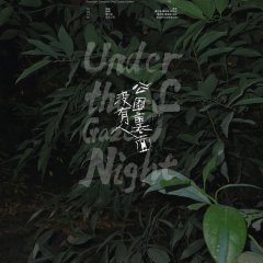 Under the Gaze of Night Hong Kong Movie(2026) photo