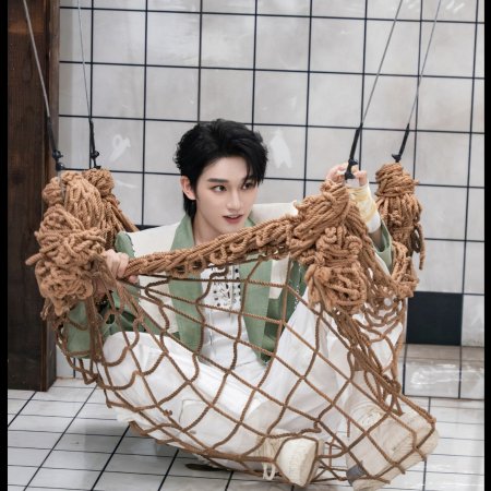 Ding Cheng Xin