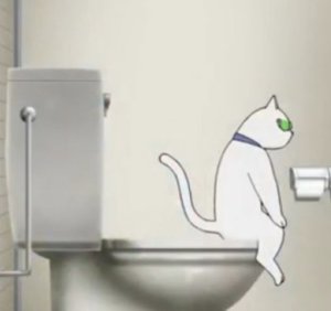 huj