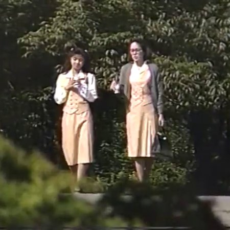 Yume ni Mita Hibi (1989)