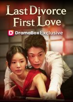 My Last Divorce, My First Love Korean Drama(2026) photo
