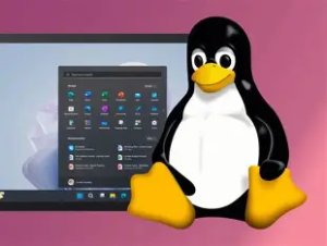 Linux