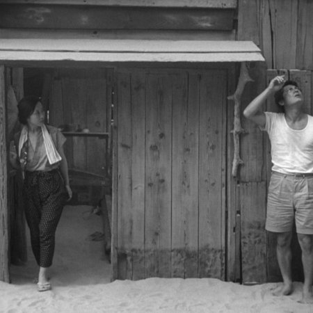 Woman in the Dunes (1964)