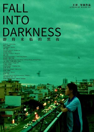 Fall into Darkness (2024) poster