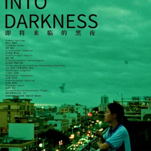 Fall into Darkness (2024)