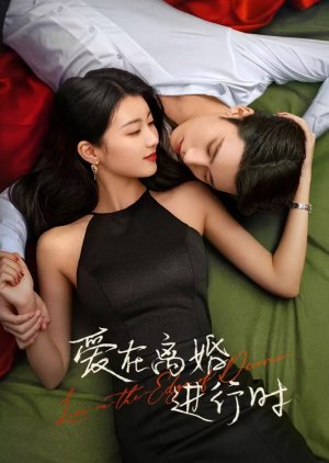 Love on the Edge of Divorce () poster