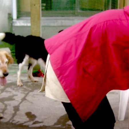 Wasao (2011)