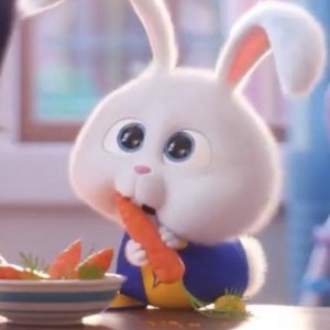 Fluffy Flower