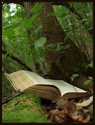 theIntrovertsbooks