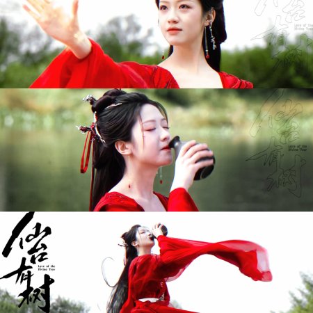 Love of the Divine Tree (2025)