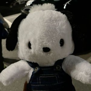 Vinnie