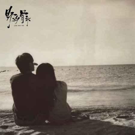 Love for You ()