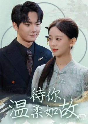 Dai Ni Wen Rou Ru Gu (2025) poster