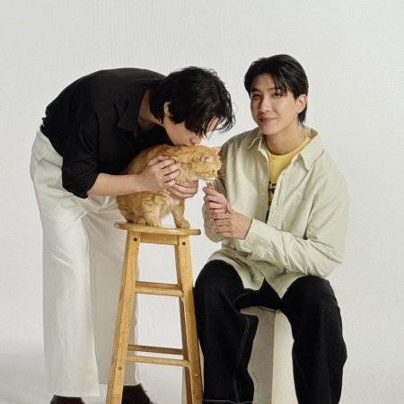 Cat for Cash ()