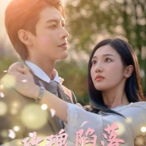 Mei Gui Xian Luo (2024)