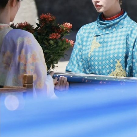 Jiang Shan Wei Pin ()
