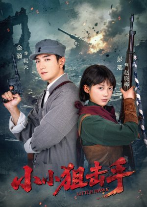 Little Hawn (0000) poster