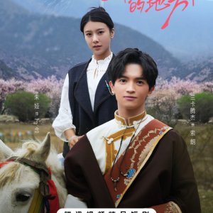 Finding Home in Blossoms (2025)