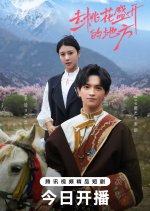 Finding Home in Blossoms Chinese Drama photo