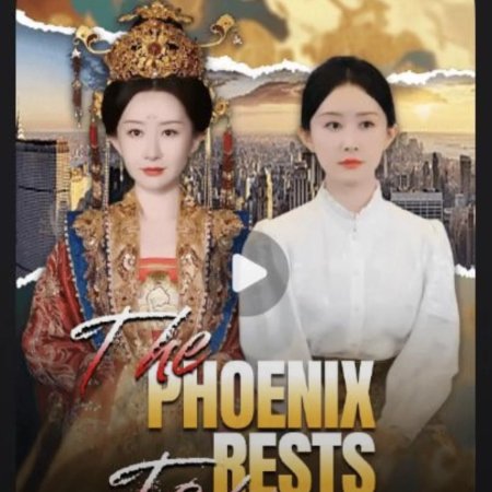 Feng Qi Jin Zhao (2025)