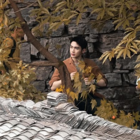 Long Gu Fen Xiang ()