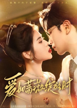 Crazy Childhood Sweetheart Fell in Love with Me (2025) poster