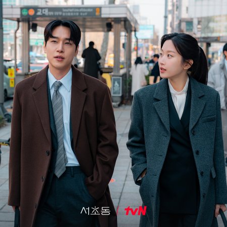 Law and the City (2025)