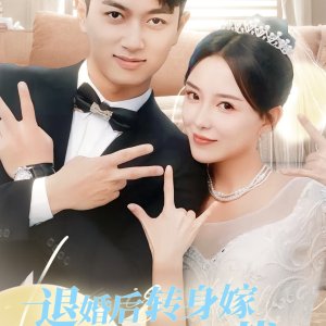 Tui Hun Hou Zhuan Shen Jia Gei Qian Yi Zong Cai (2024)