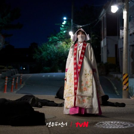 Head over Heels (2025)