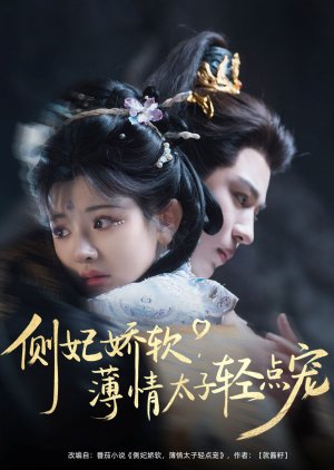 Ce Fei Jiao Ruan, Bo Qing Tai Zi Qing Dian Chong poster