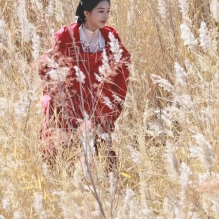 The Road to Splendor ()