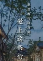 Ai Shang Zhe Tiao Jie Chinese Drama(0000) photo