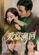 Ai Yi Su Hui Chinese Drama(2025) photo