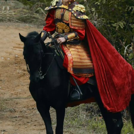 Jiang Shan Wei Pin ()