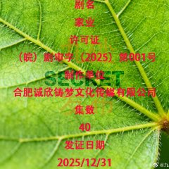 Jia Ye Chinese Drama(0000) photo