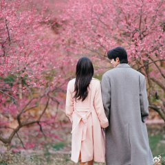 É Minha Luz Chinese Drama(2025) photo