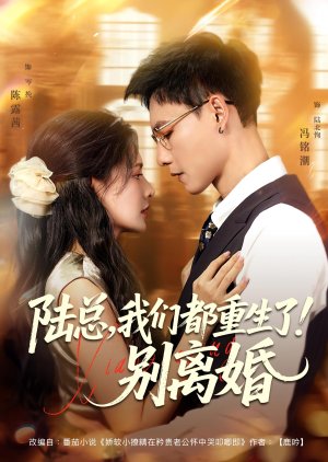 Lu Zong, Wo Men Dou Chong Sheng Le! Bie Li Hun (2025) poster