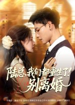 Lu Zong, Wo Men Dou Chong Sheng Le! Bie Li Hun Chinese Drama(2025) photo
