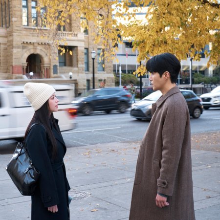 Can This Love Be Translated? (2026)