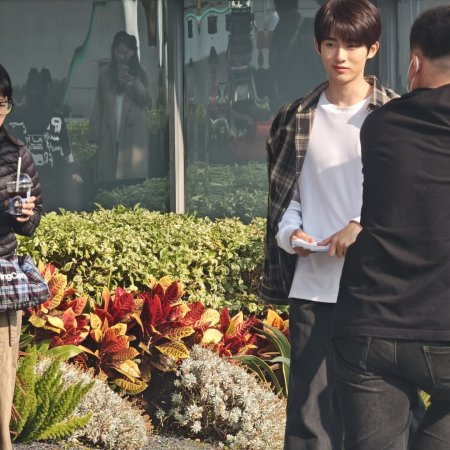 Sunshine through the Rain ()