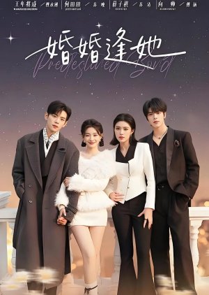 The Wedding Mix-Up (2025) poster