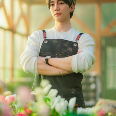 Typhoon Family (2025)