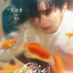 Coming of Age Ceremony Chinese Drama(2025) photo