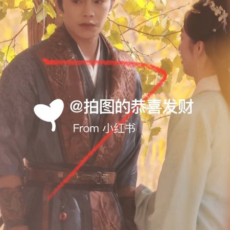 The Road to Splendor ()