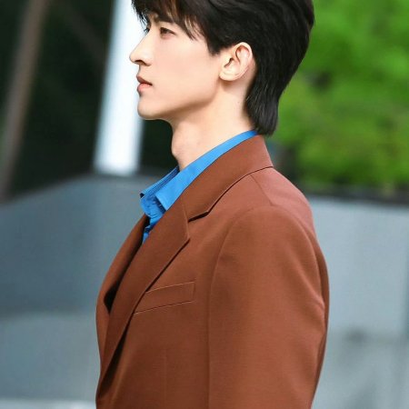 The Vanishing Beauty ()