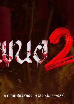Panor 2 (0000) poster
