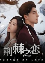 Thorns of Love Chinese Drama(2025) photo